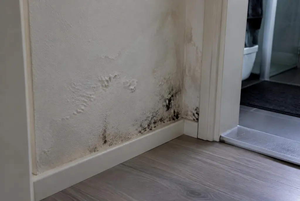 Lekdetectie Tienhoven – vochtplek met schimmel op een muur